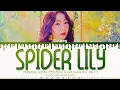Lagu YEONJUNG (WJSN) 연정 'Spider Lily' [Lyrics Video (HAN/ROM/ENG)]