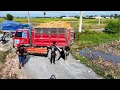 Lagu First Start Wonderful Project!! Landfill Flooded Area By Skill Dozer Pushing Soil With Dump Truck 5t