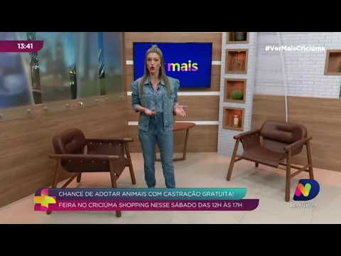 ONG Amigo Bicho promove feira de adoção de animais neste sábado em Criciúma