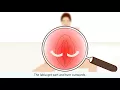 Download Lagu The female orgasm explained