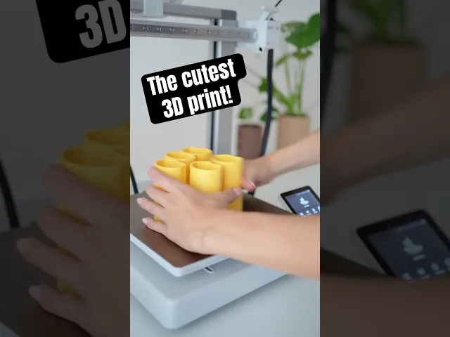 FLORIA - Stackable Flower Organizer I Pen Holder video thumbnail