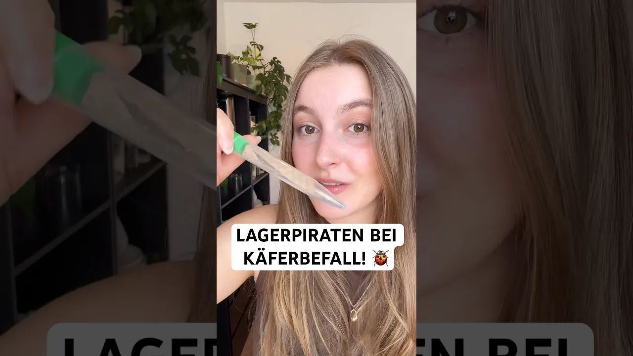 Speckkäfer, Teppichkäfer oder Wollkrautblütenkäfer mit Lagerpiraten ganz einfach bekämpfen! 🐞