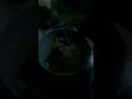 Download Lagu emo video.3gp