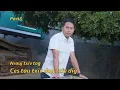 Download Lagu nrauj txiv tag ces tau txiv dog txiv dig part3 9/29/2025