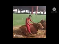 Download Lagu Salam Cinta Dari Ujung Kandang (Hidup Anak Peternakan)✊