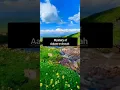 Download Lagu Arwah (world of souls) #explore #quran