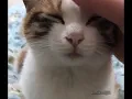 eepy