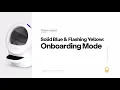 Solid Blue with a Flashing Yellow WiFi Onboarding Mode Litter-Robot 4