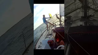 Downwind on Galveston Bay #shorts