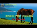 USAPI TUN TANOEB || Cover by: Amaro Sasi || Musik Oecusse.!!