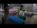 Cell culture Multielectrode Array Cardiosight -S NEXEL