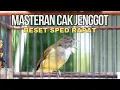 Download Lagu MASTERAN CAK JENGGOT BESET RAPAT