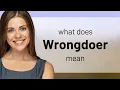 Wrongdoer definition of WRONGDOER