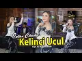 Download Lagu Intan Chacha - Kelinci Ucul (Official Music Video)