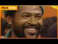 Marvin Gaye s Tragic Legacy - The Untold Story of His Rise Fall and Estate