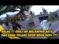 Download Lagu ODGJ G4LAK DI CIAMIS!! NENG NOPI DI LEMP4R BATU SAMPAI KENA TULANG EKOR?? | PRATIWI NOVIYANTHI