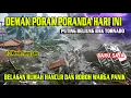 Download Lagu DEMAK PORAK PORANDA | 16/10/2025 PULUHAN RUMAH HANCUR \u0026 ROBOH DIHANTAM PUTING BELIUNG HARI INI