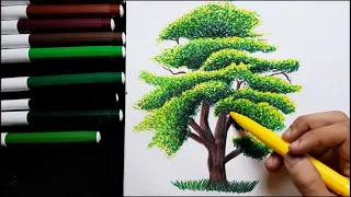 تعليم رسم الشجرة بأسلوب التنقيط للمبتدئين بأبسط الادوات 