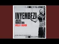 Download Lagu Inyembezi (Remix)