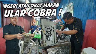 begini ular cobra hidup di jadikan makanan 