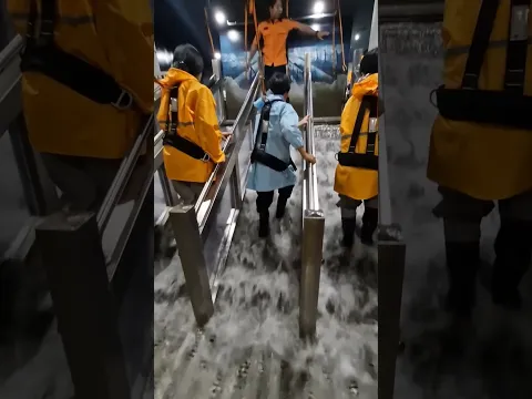 Training before the shipwreck ||#shorts