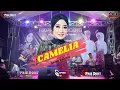Download Lagu CAMELIA - ANISA RAHMA - PRIE DOUT MUSIK / LIVE PAMEKASAN