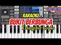 Download Lagu KAROKE BUKIT BERBUNGA DANGDUT KOPLO ORG24 TANPA KENDANG