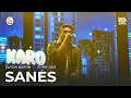 Download Lagu SANES - GUYON WATON (Live Performance at HARJASDA 166 Sidoarjo)