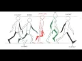 Walk Cycle Brush Ninja Tutorial