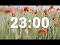 23 Minute Timer with Relaxing Music and Alarm Countdown Clock for Stress Relief