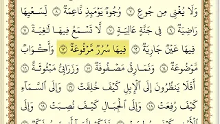 سورة الغاشية مكررة 30 مرة ماهر المعيقلي 