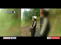 Download Lagu Telusur Sejarah Randu Alas, Tanaman Eyang Raden Demang Mangun Wedono