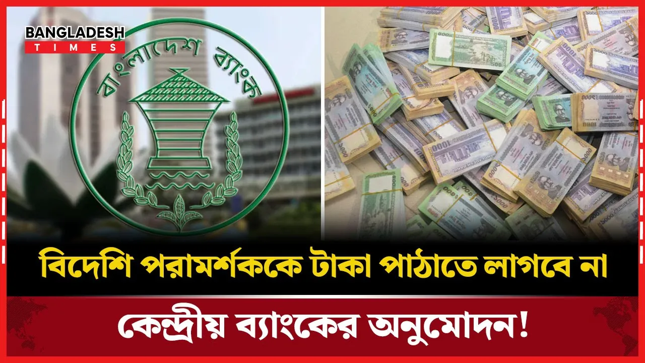 কেন্দ্রীয় ব্যাংকের অনুমতি ছাড়াই বাইরে অর্থ পাঠাতে পারবেন বিদেশি পরামর্শকরা