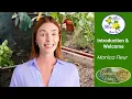 Download Lagu Tusca Ridge Garden Club - Meet Monica Fleur