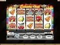 Raging Bull Casino No Deposit Free Spins