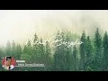 Download Lagu Nikmat Bersyukur | Ustadz Abdul Somad