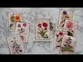 Freebie Sheet of the Month May 2025 Journaling Card Sheet