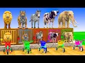 Download Lagu Long Slide Game With Cow Elephant Gorilla Hippopotamus Tiger 3d Animal Game Funny 3d Animals
