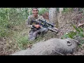 Download Lagu AKHIRNYA BABI HUTAN GANAS DI KEBUN PETANI ROBOH