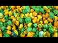 D D Caribbean Grocery Store