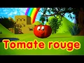 Tomate rouge - \