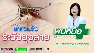 ทำไมการกำจัดน้ำขังรอบบ้านจึงสำคัญในการป้องกันยุงลาย