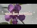 Download Lagu Semua AnugerahNya - Maya Rumantir (dengan lirik) / Kidung Pujian