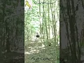 Download Lagu If you want to have an absolutely unbelievable trail ride then this is absolutely the place to come.