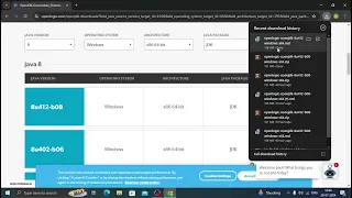 How to download and install Java JDK 8 without oracle account on windows 10 QUICK EASY