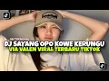Download Lagu DJ SAYANG OPO KOWE KERUNGU  SAYANG VIA VALLEN VIRAL TIKTOK TERBARU