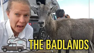 Camping the Badlands for $0 (Emily & Clark’s Road Trip Ep. 6)