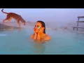 Download Lagu Solo Beauty Camping by a Hot Geyser | ASMR Outdoor Cooking | Relaxation in the Wild