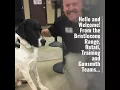 Meet the Bristlecone team - Indoor shooting Range in Denver CO