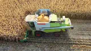 LIVE: Mechanized farming powers the autumn harvest in NE China's Heilongjiang